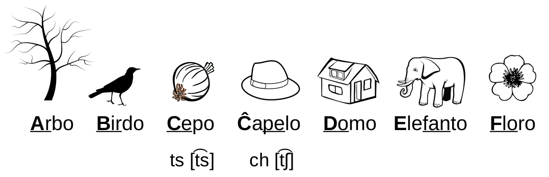 Sep literoj kun bildoj.